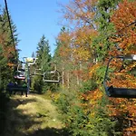 Medvedin 87