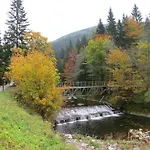 Medvedin 87 *