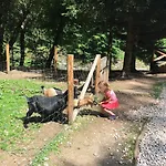 Medvedin 87 Špindlerŭv Mlýn