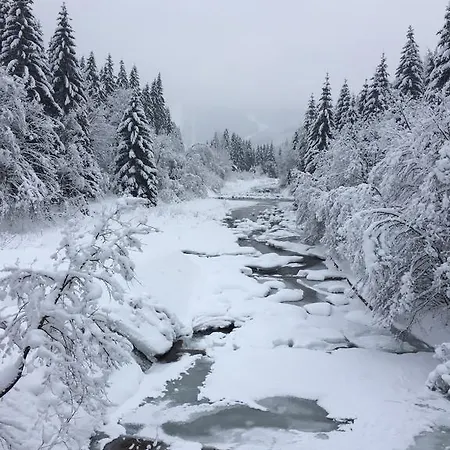 Medvědín 87