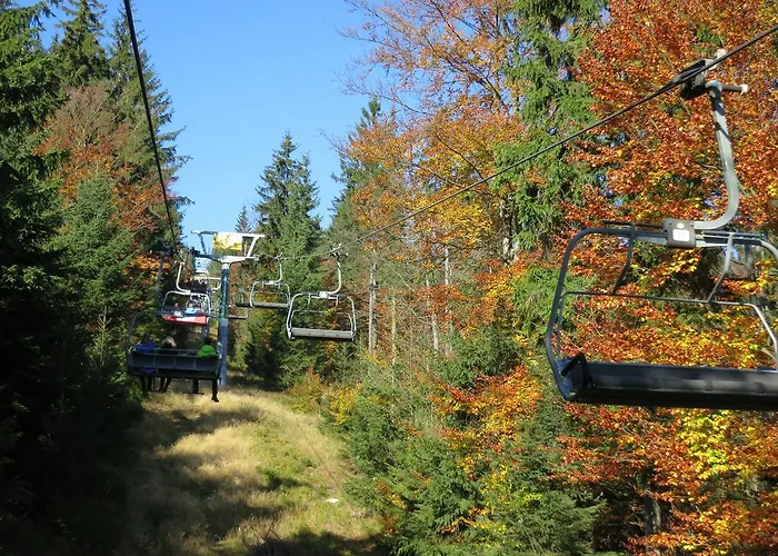 Medvedin 87