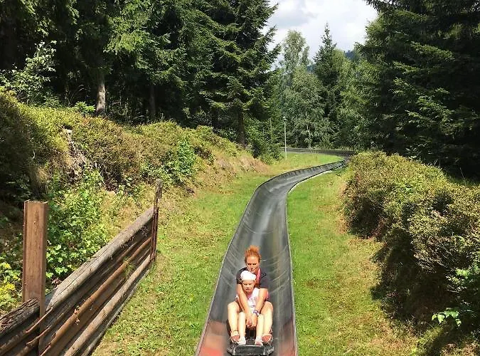 Lägenhet Medvedin 87 *