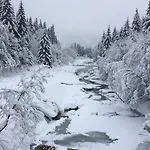 Medvedin 87