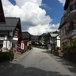 Medvedin 87 *