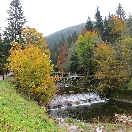 Medvědín 87 *