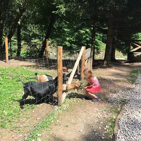 Medvedin 87 Spindleruv Mlyn